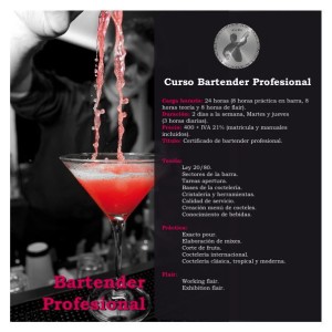 Curso Bartender